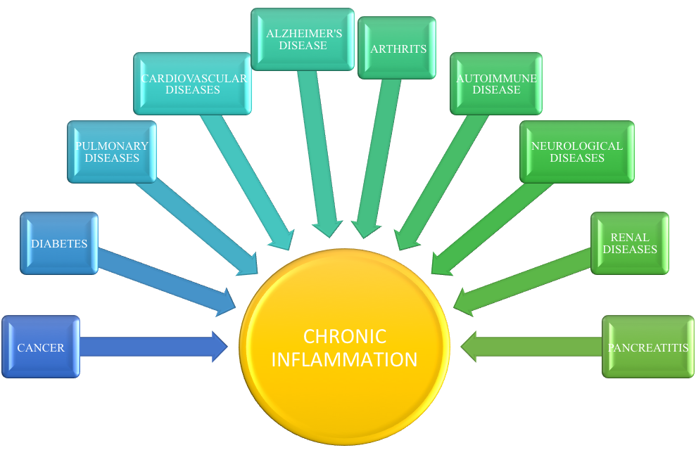 VILACT Chronic_Inflammation Inflammatory Disorders & Anti-inflammatory Treatments  