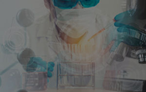 VILACT VilactoBio15-300x189 VilactoBio15  