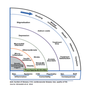 VILACT synopsis_on_psoriasis-300x293 synopsis_on_psoriasis  